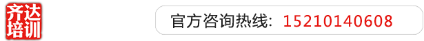 美女自丝被操啊啊啊齐达艺考文化课-艺术生文化课,艺术类文化课,艺考生文化课logo